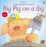 Big Pig on a dig - click to check price or order from Amazon.co.uk