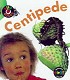 Centipede (Bug Books) - click to check price or order from Amazon.co.uk