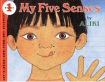 My Five Senses - click to check price or order from Amazon.co.uk